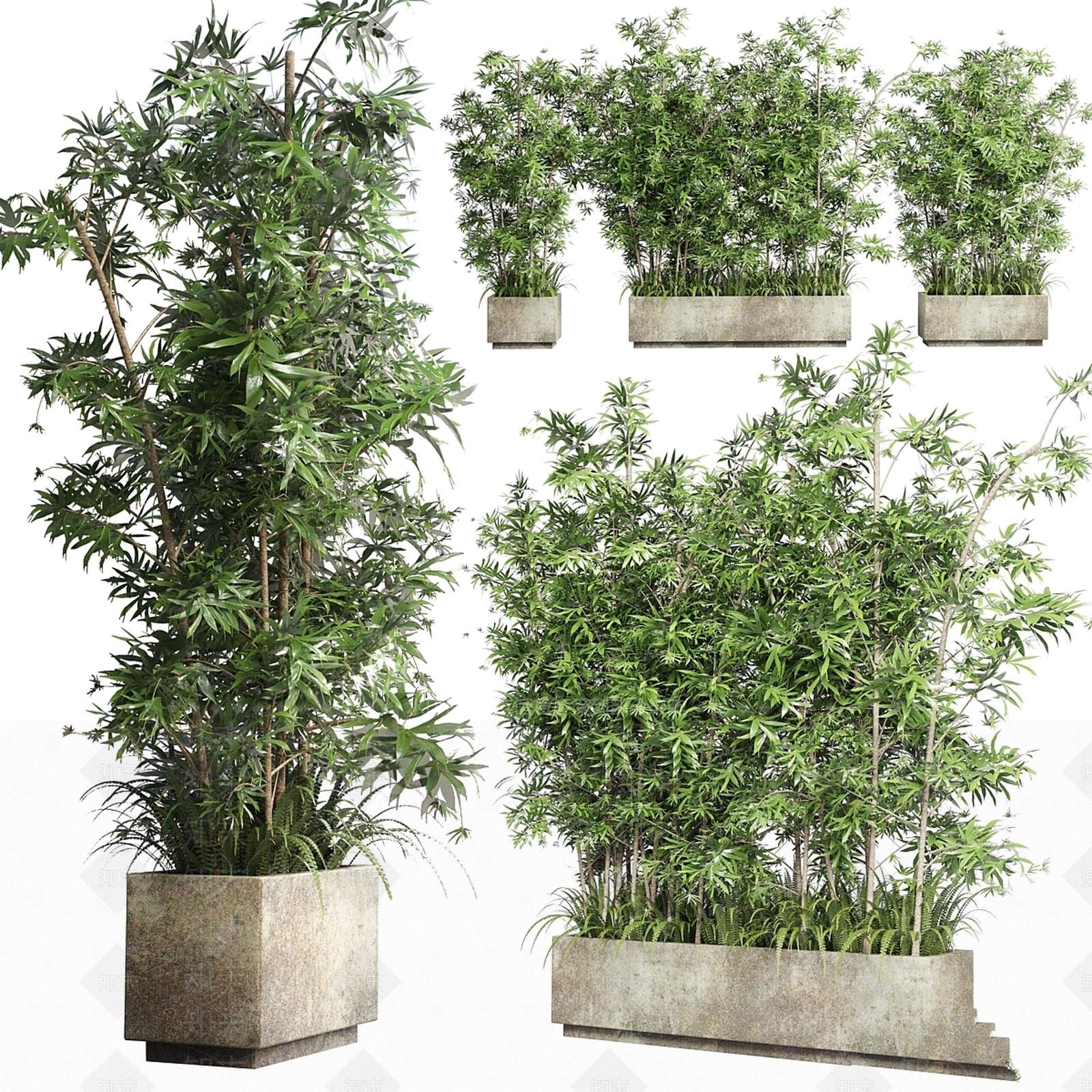 其他绿植3D模型下载【ID:1199475241】