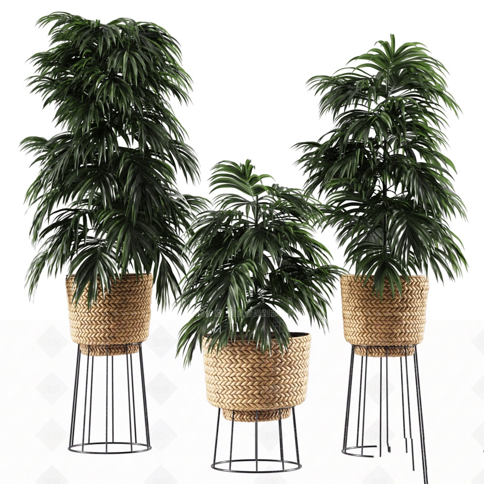 盆栽3D模型下载【ID:1199486000】