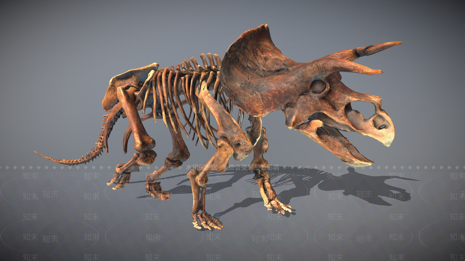 其他动物3D模型下载【ID:1199544836】