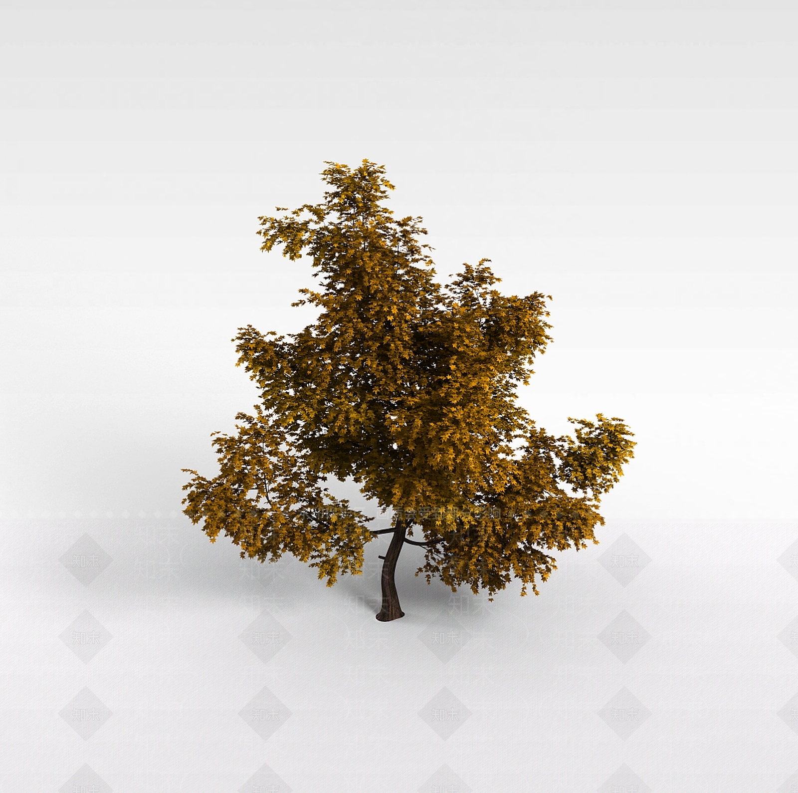 现代园林景观树3D模型下载【ID:1199572651】