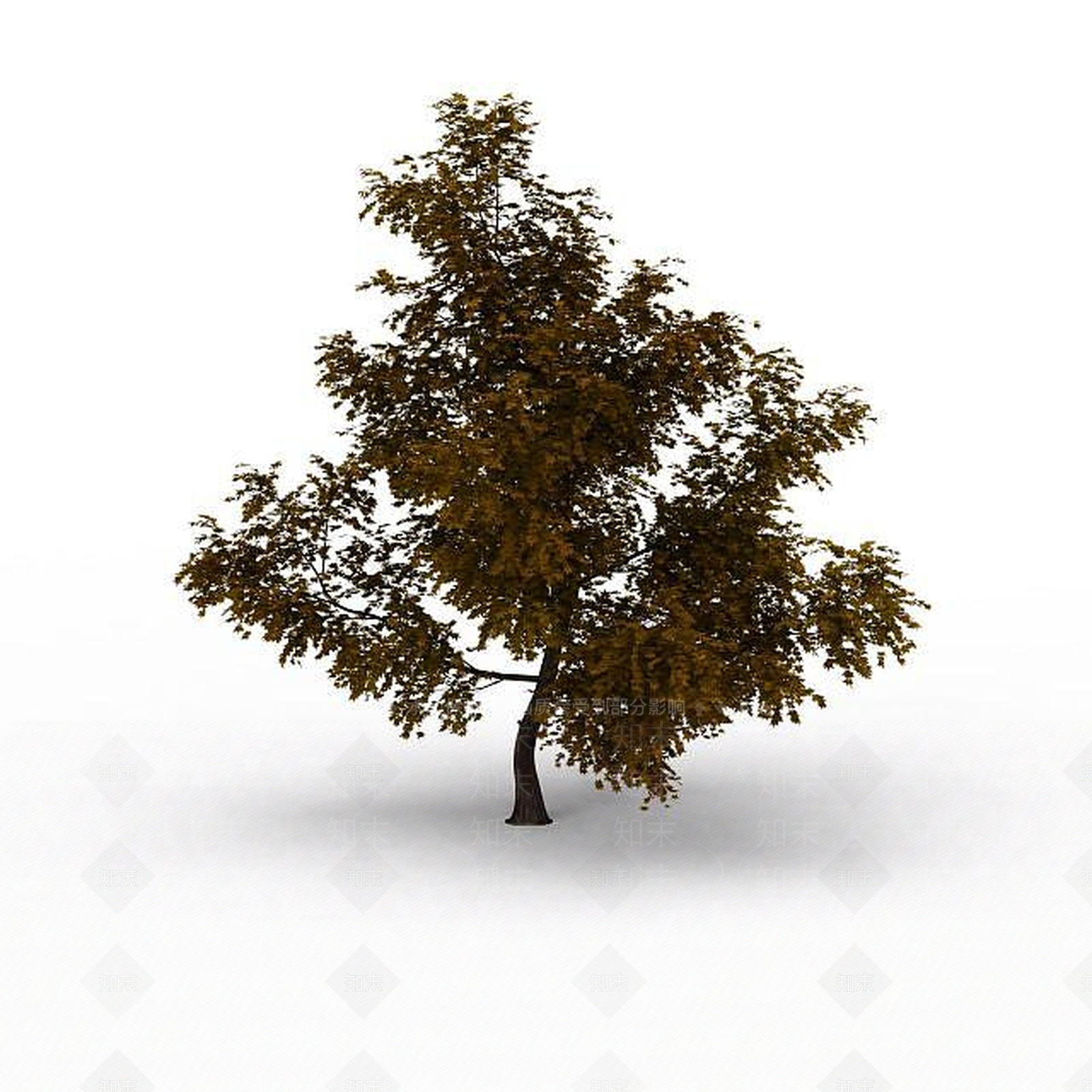 现代园林景观树3D模型下载【ID:1199572651】
