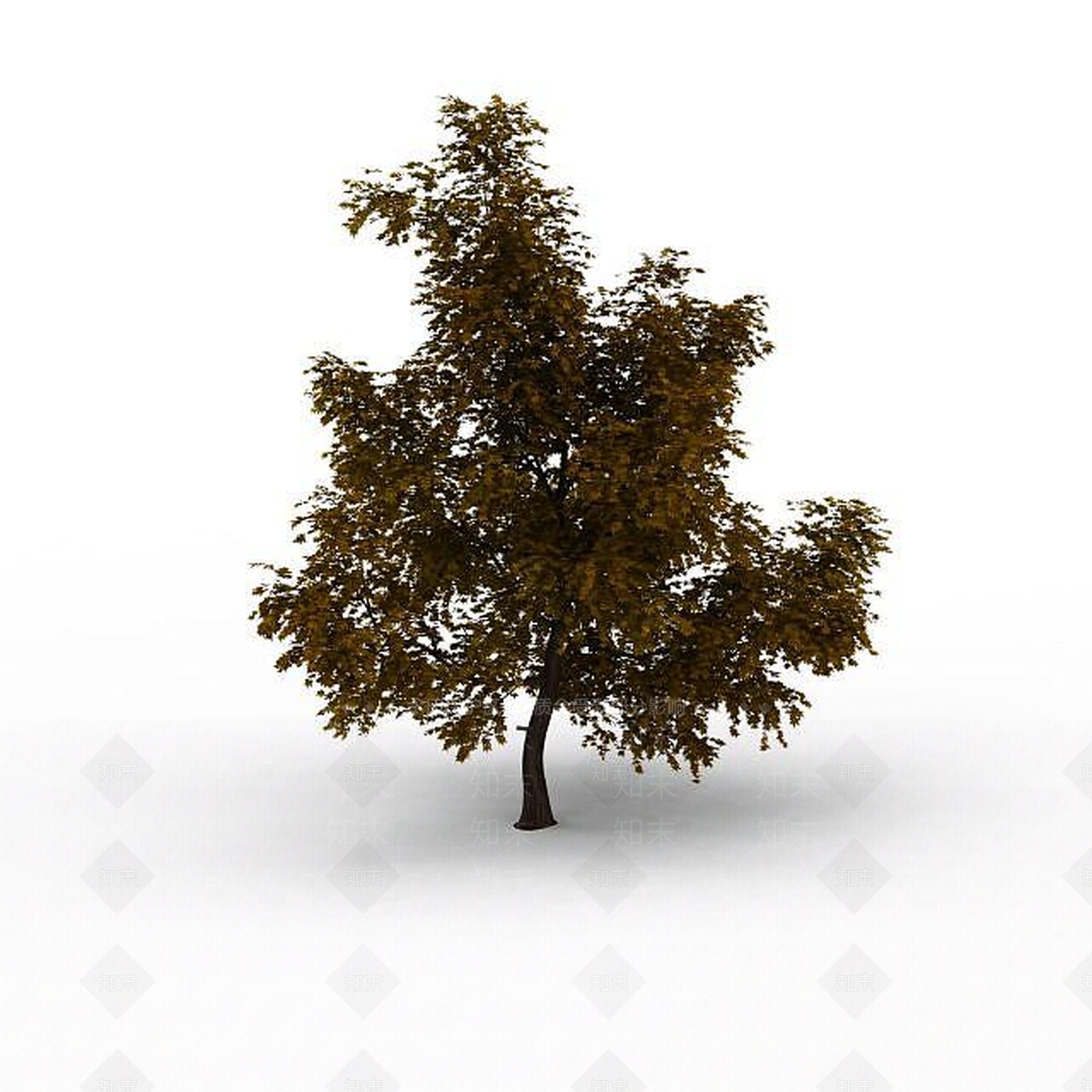 现代园林景观树3D模型下载【ID:1199572651】