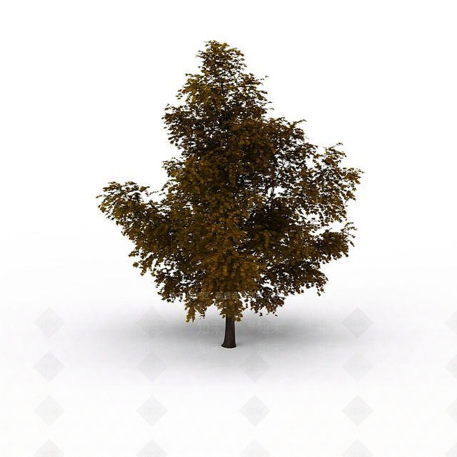 现代园林景观树3D模型下载【ID:1199572651】