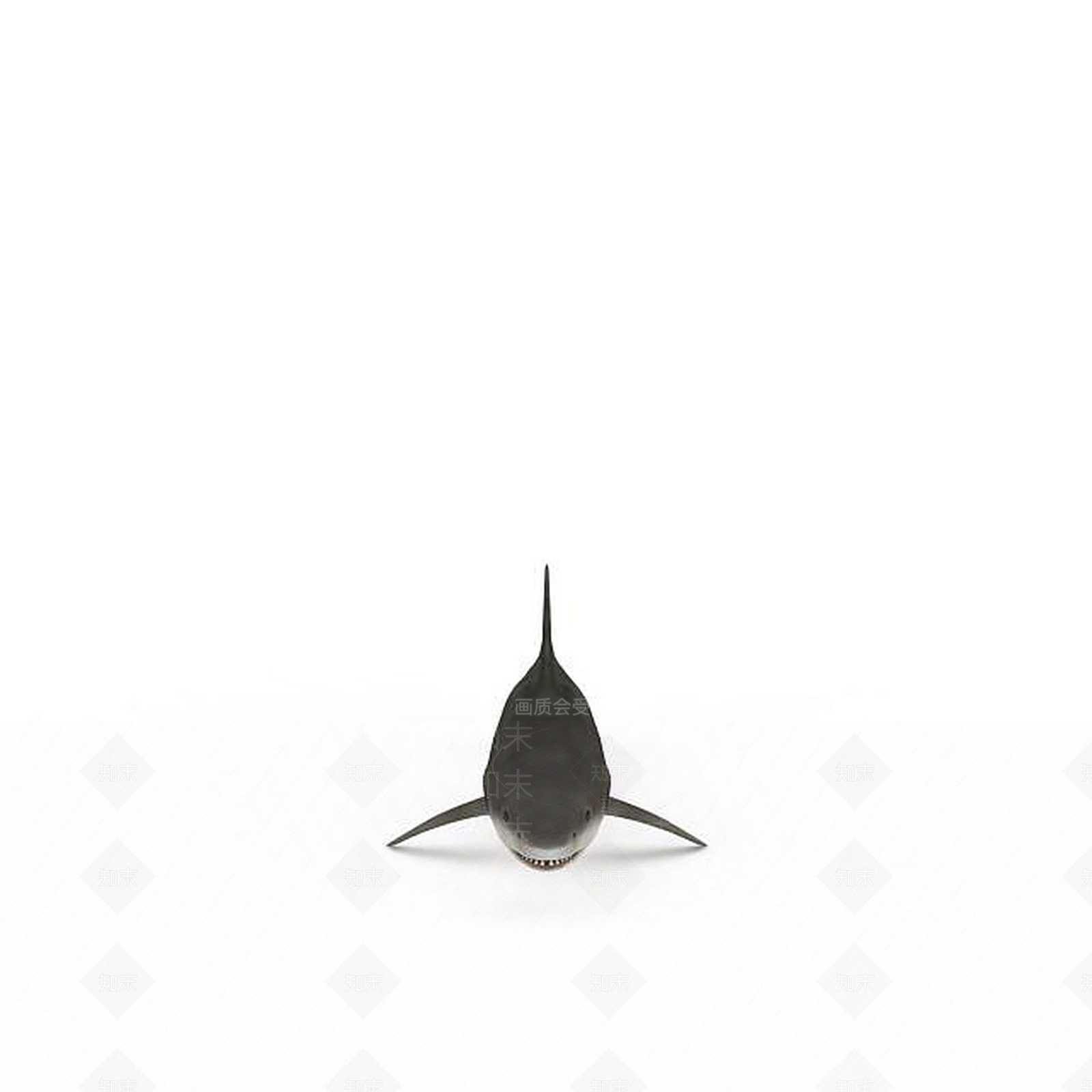现代鲨鱼3D模型下载【ID:1199584205】