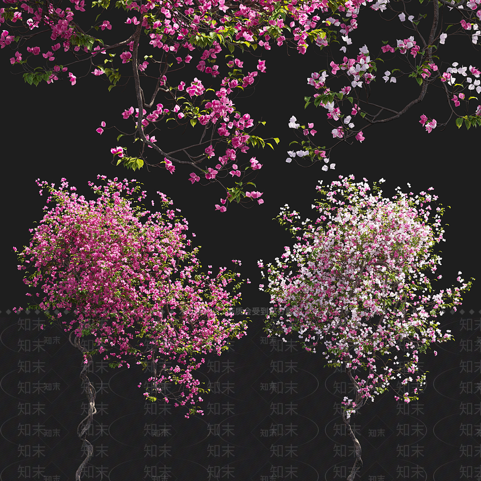 景观树3D模型下载【ID:1199588208】