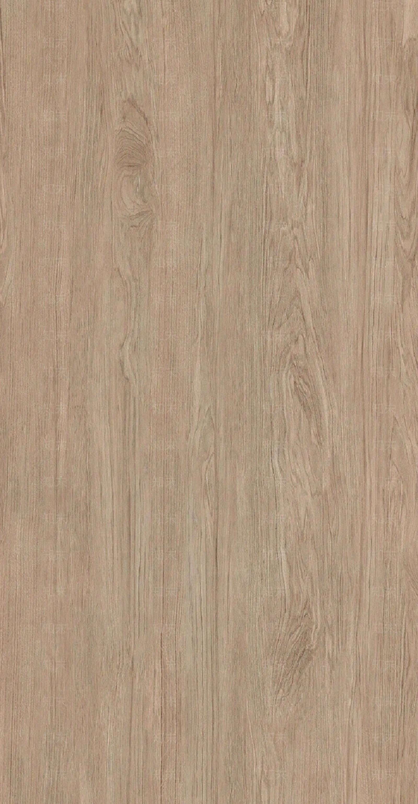 现代樟木贴图下载【ID:1199589033】