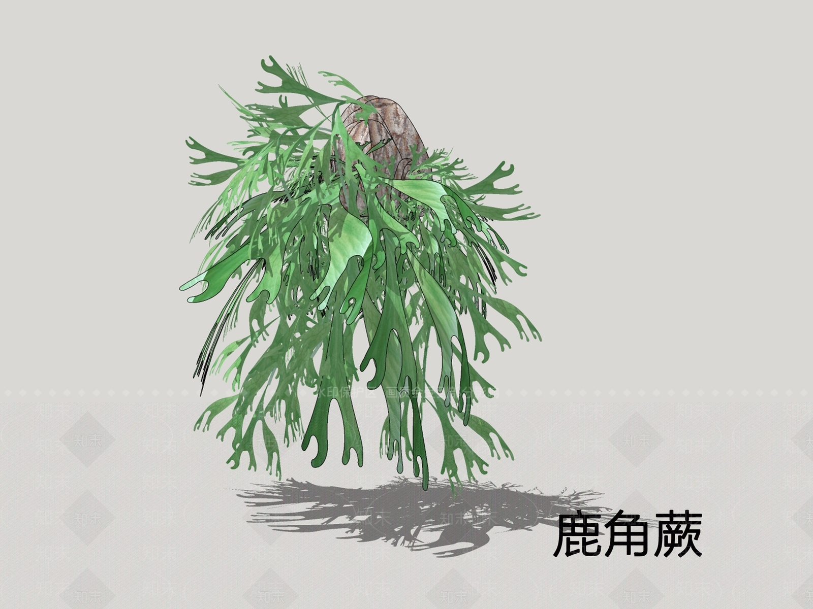 现代草本植物SU模型下载【ID:1199620337】
