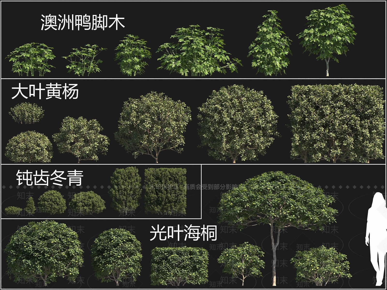 植物堆3D模型下载【ID:1199626234】