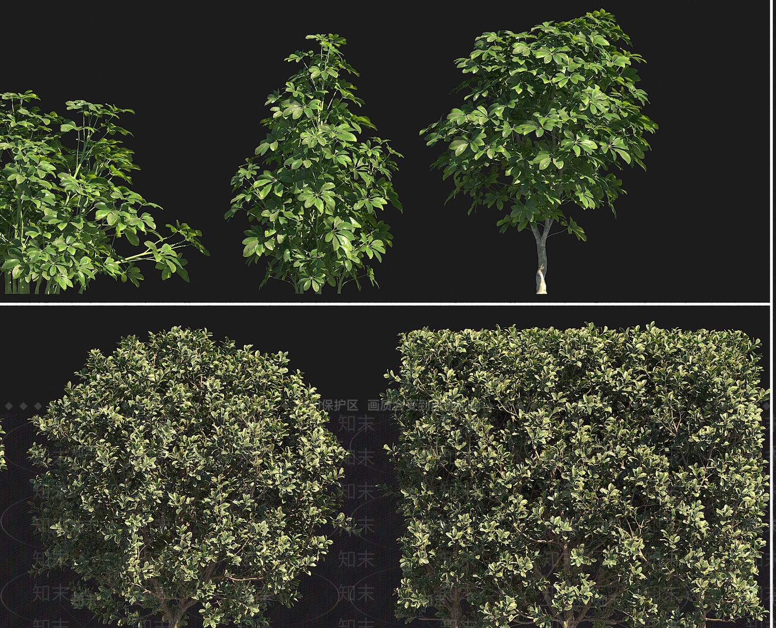 植物堆3D模型下载【ID:1199626234】