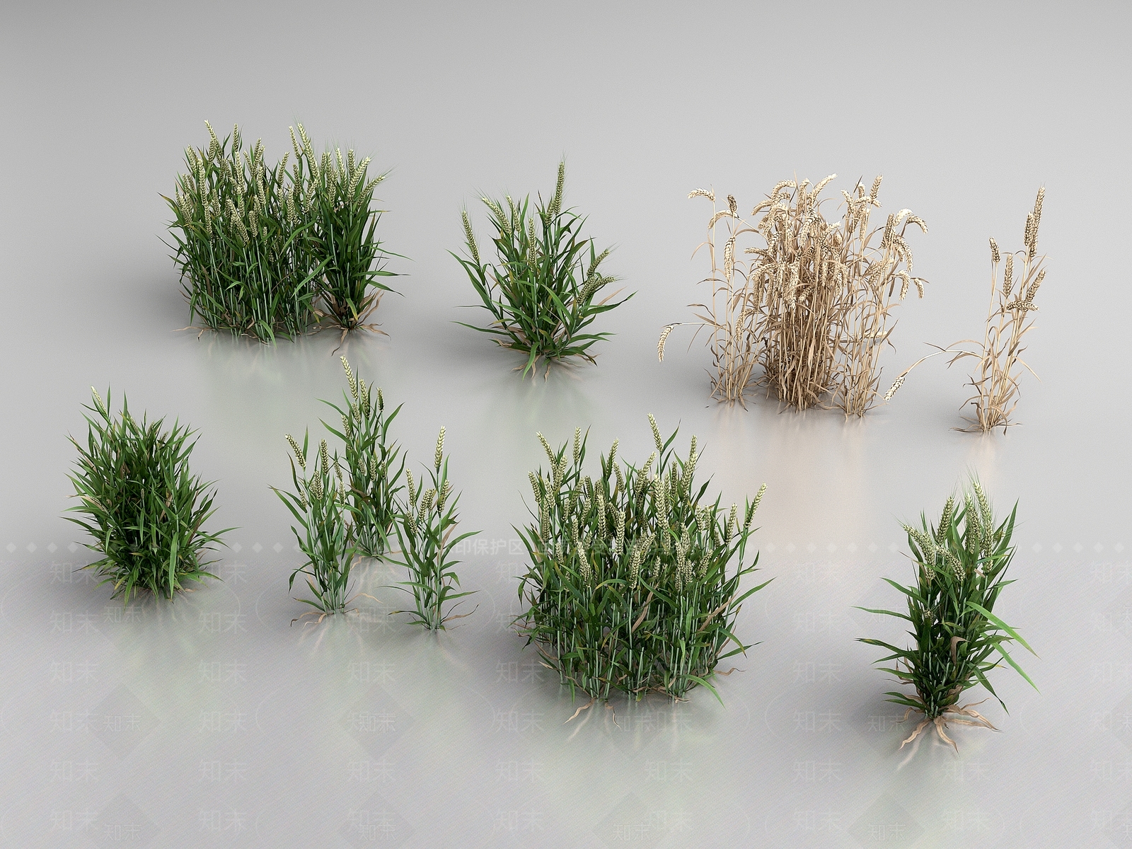 农作物3D模型下载【ID:1199633240】