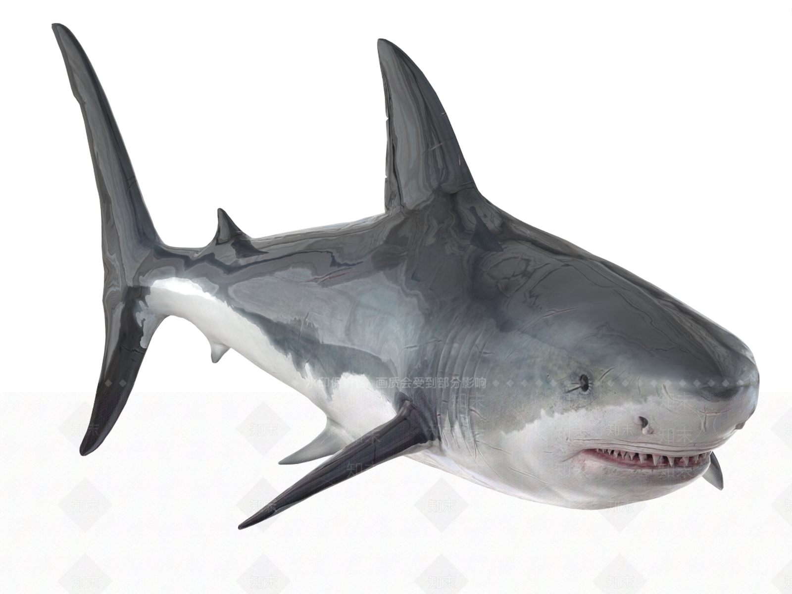 水生类动物3D模型下载【ID:1199644328】