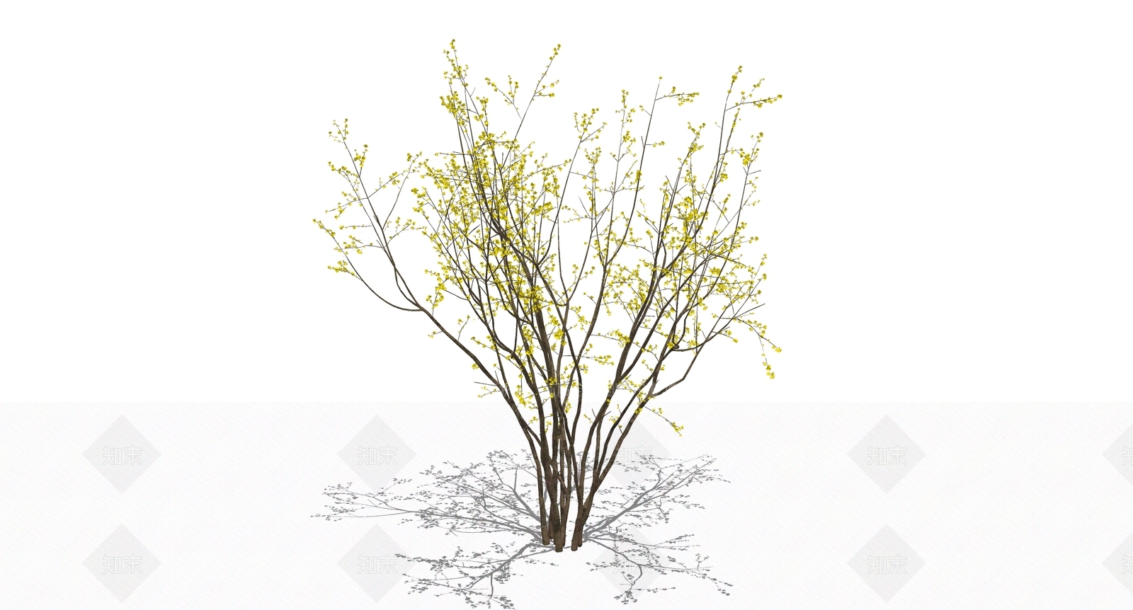 花草SU模型下载【ID:1199671118】