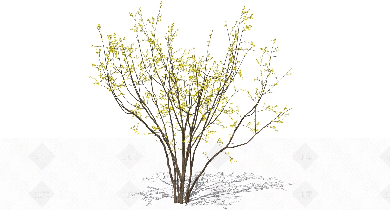 花草SU模型下载【ID:1199671118】
