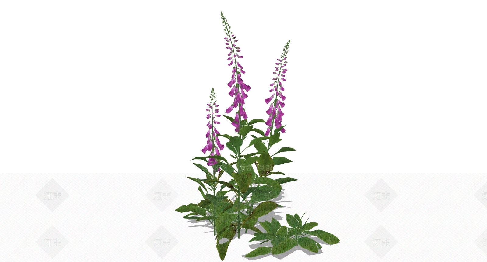 花草SU模型下载【ID:1199671636】