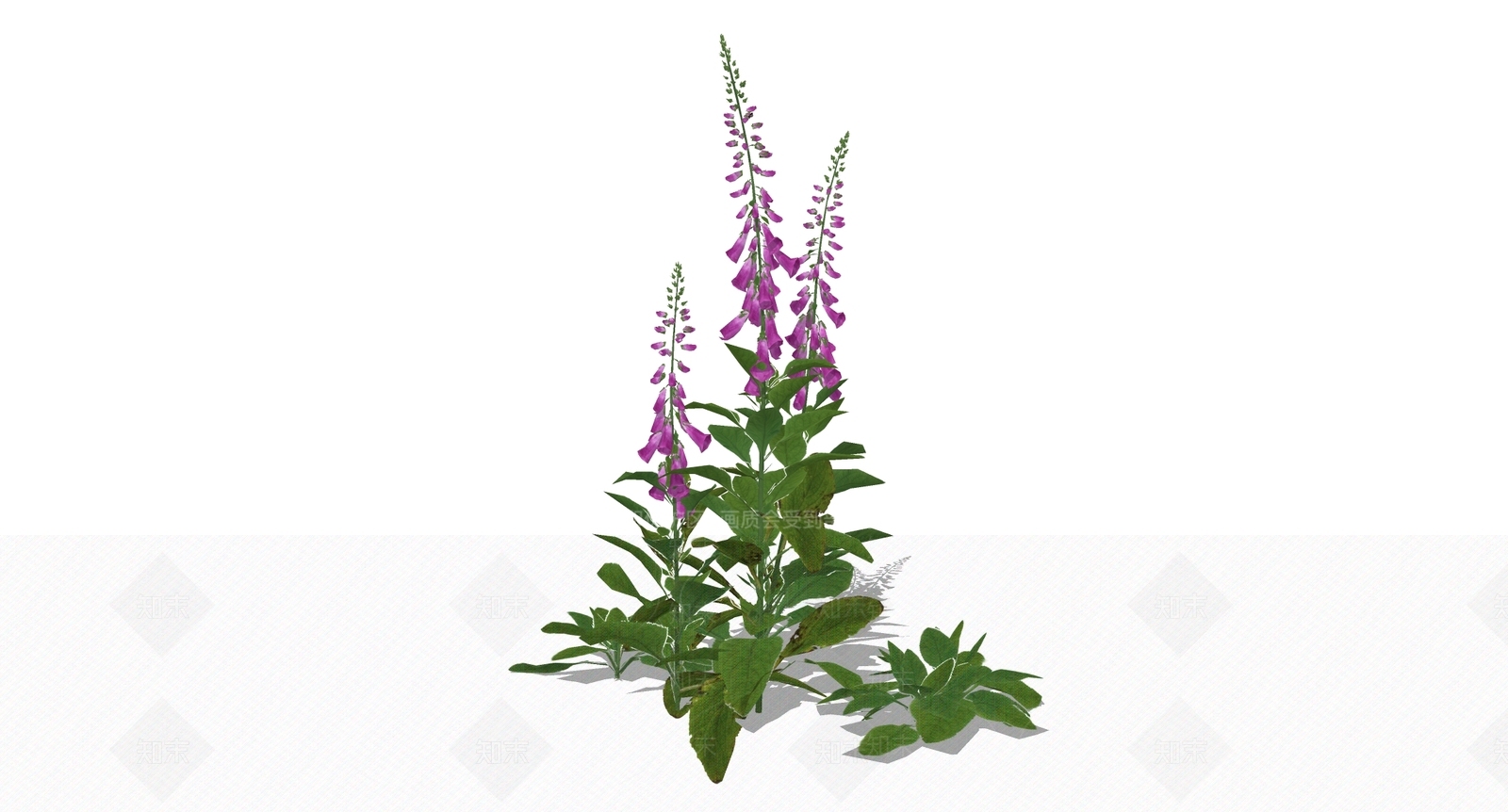 花草SU模型下载【ID:1199671636】