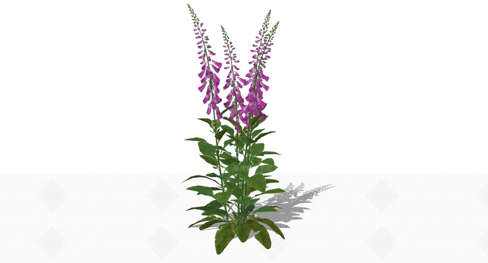 花草SU模型下载【ID:1199671699】