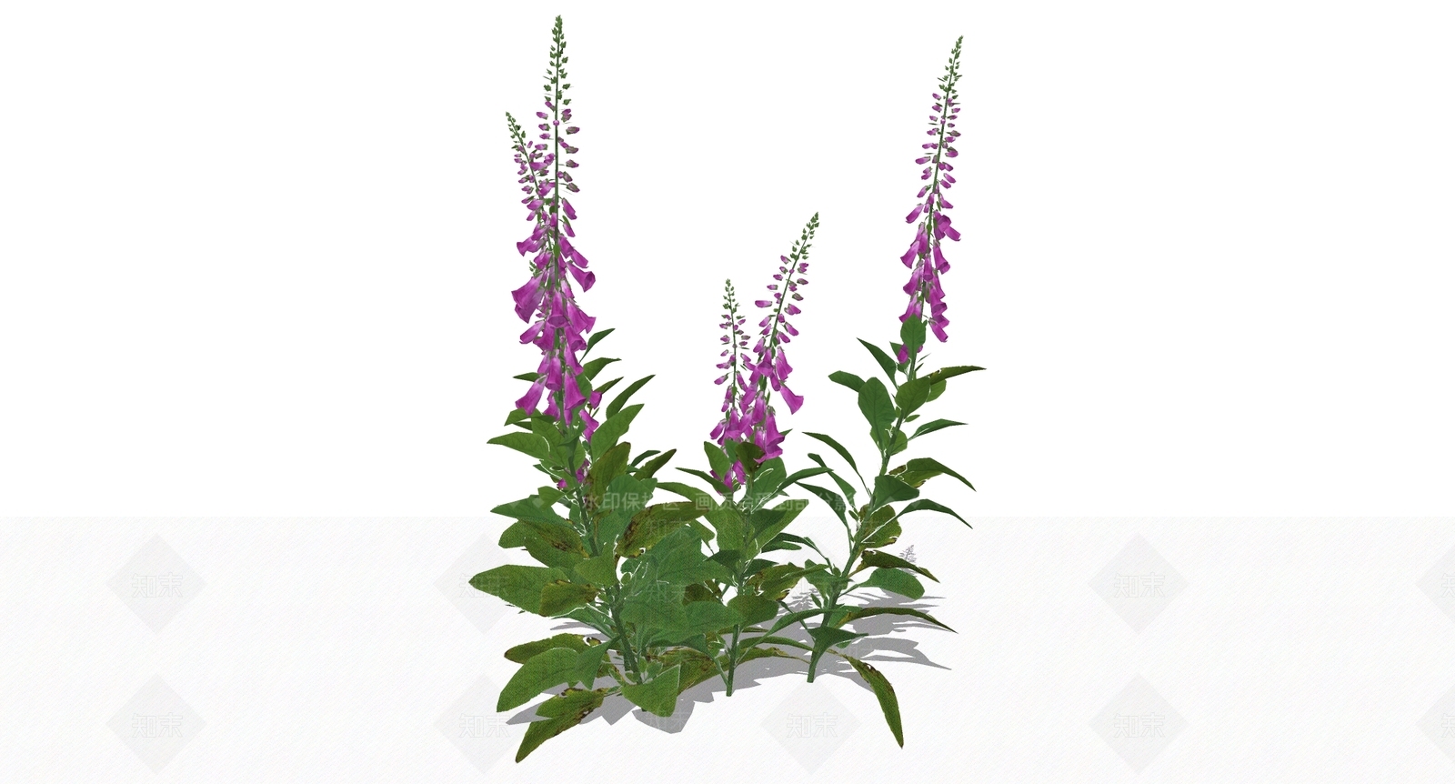 花草SU模型下载【ID:1199671716】