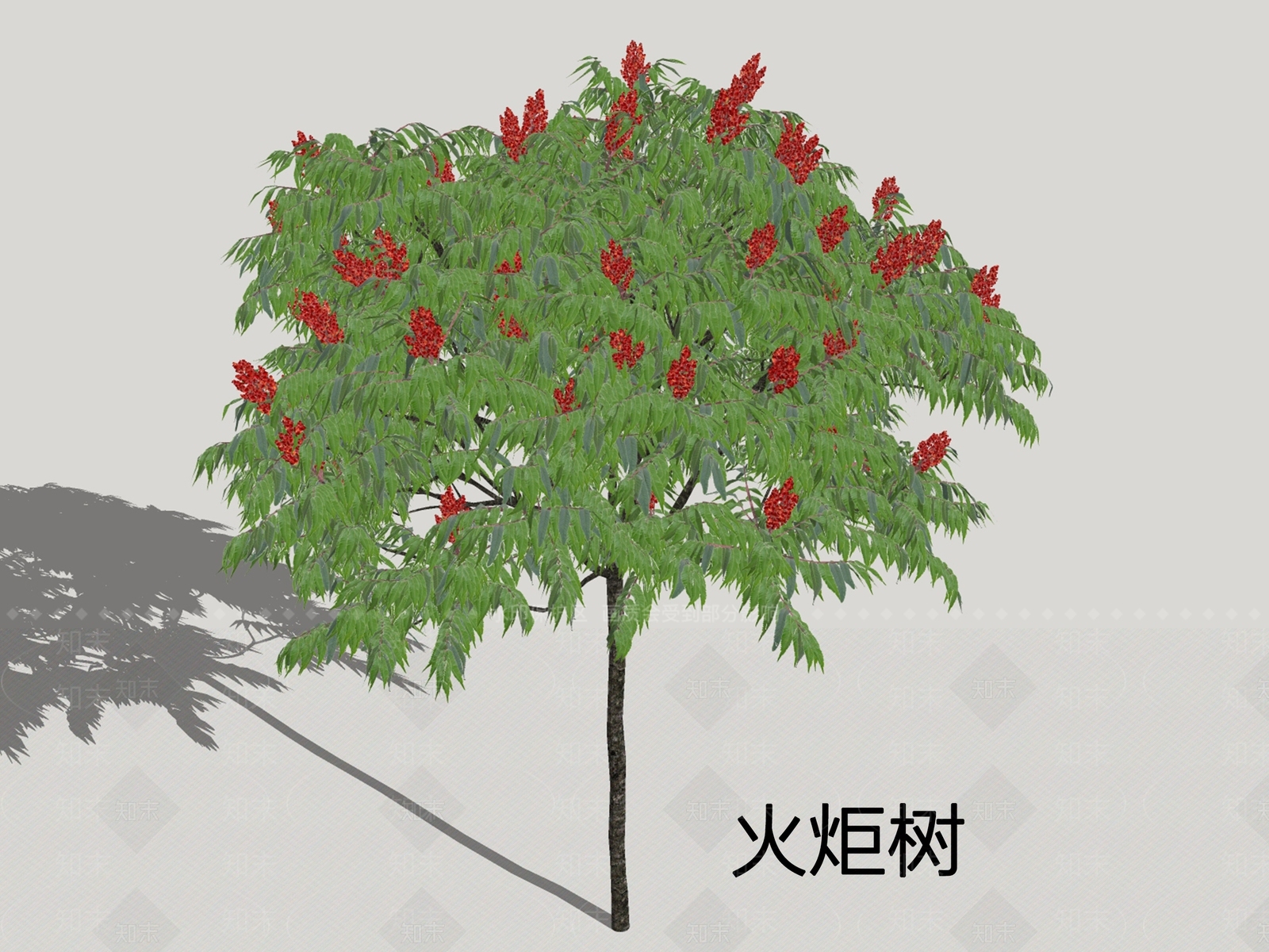 乔木SU模型下载【ID:1199677127】