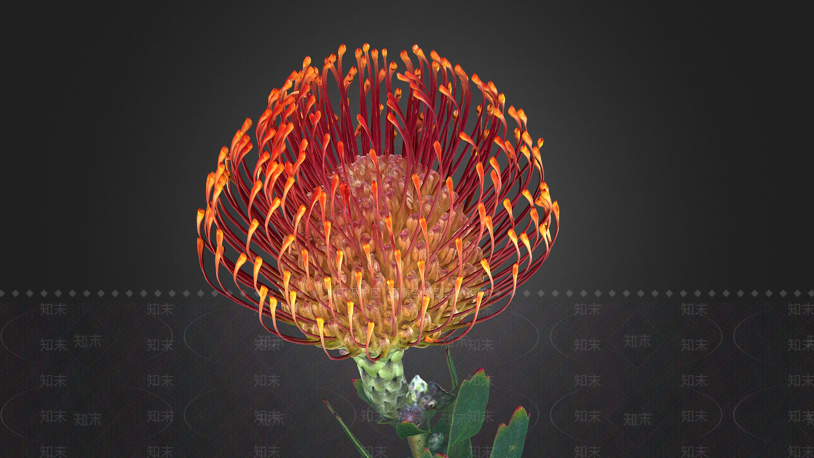 花3D模型下载【ID:1199677553】