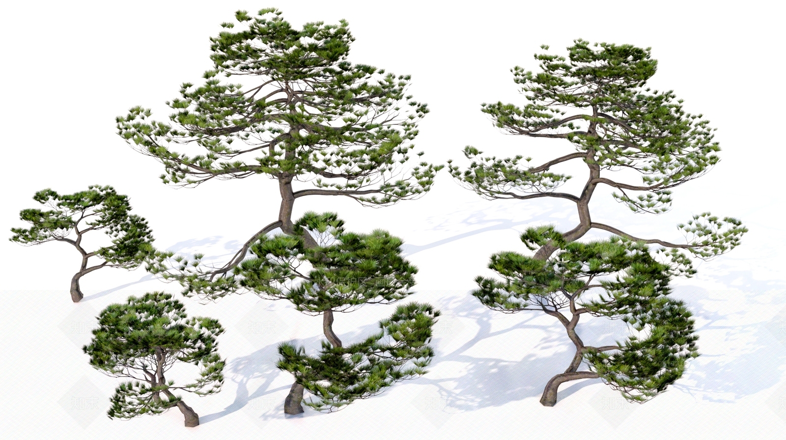 乔木3D模型下载【ID:1199680338】