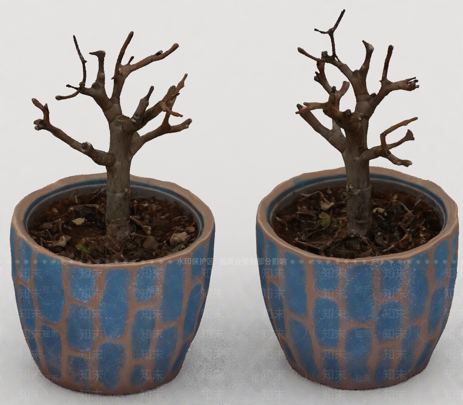 其他绿植3D模型下载【ID:1199742740】