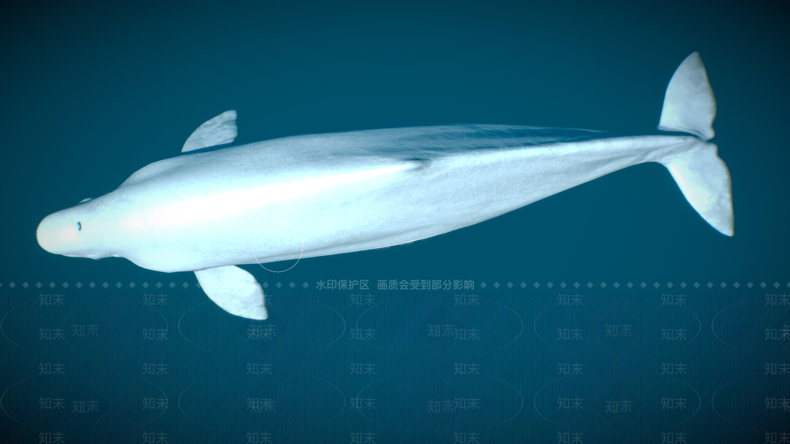 水生类动物3D模型下载【ID:1199796638】