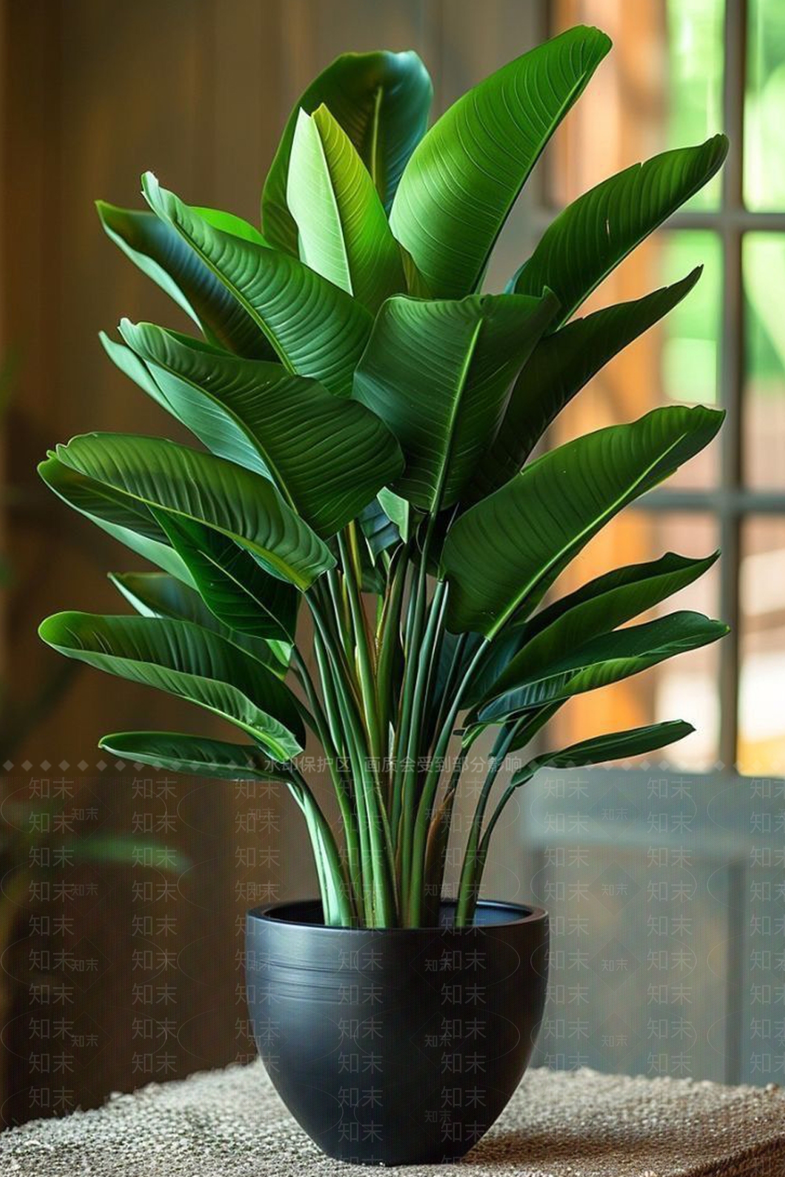 盆栽3D模型下载【ID:1199809884】