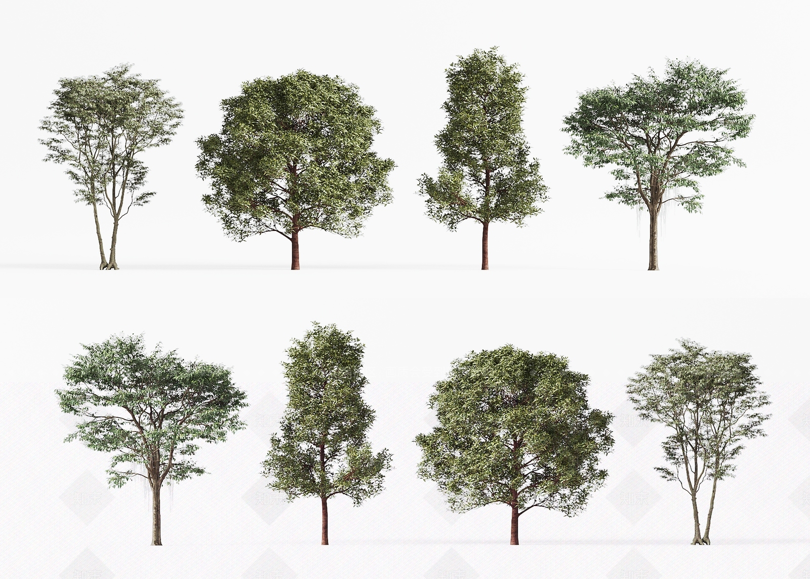 景观树3D模型下载【ID:1199822249】