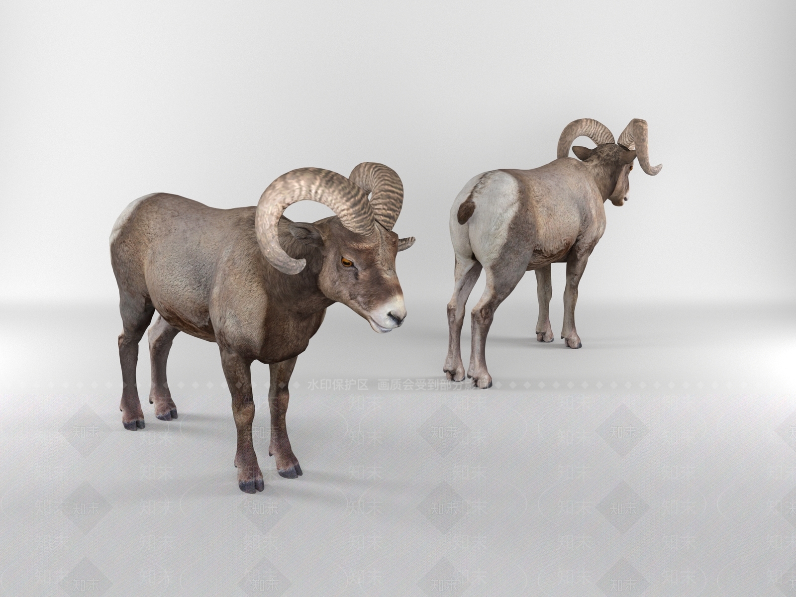 爬行类动物3D模型下载【ID:1199823162】