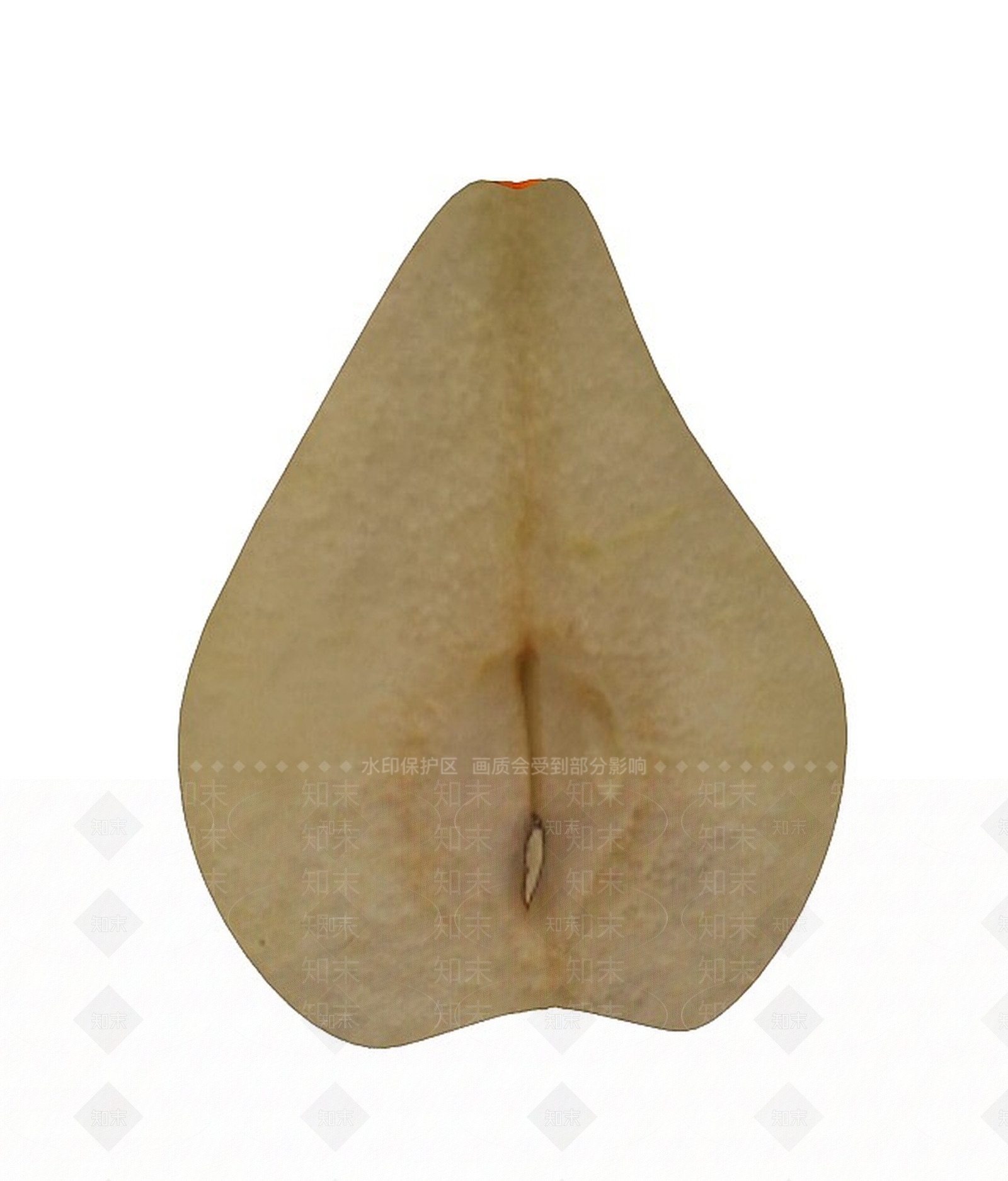 现代水果3D模型下载【ID:1199874146】