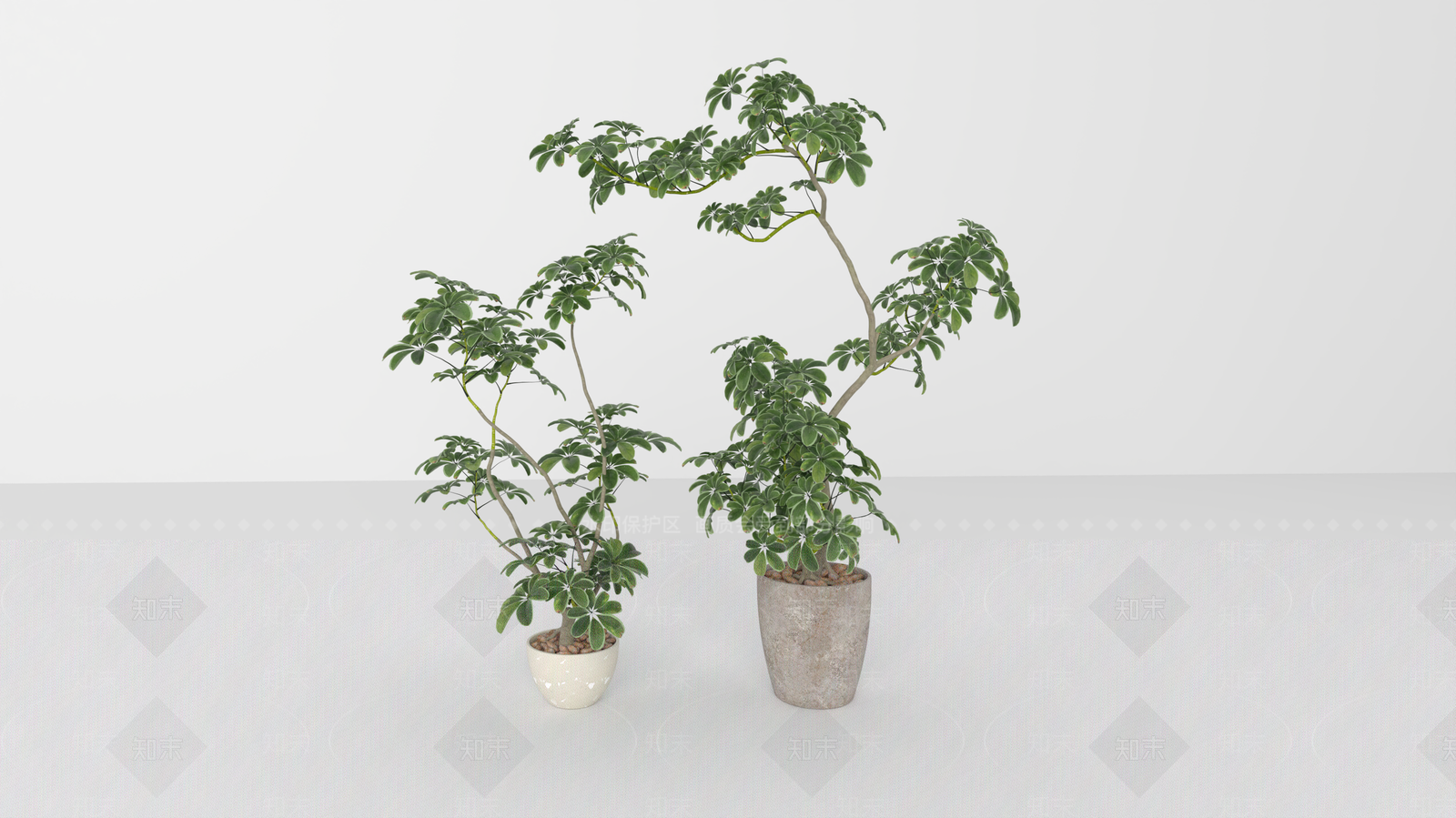 盆栽SU模型下载【ID:1199876638】