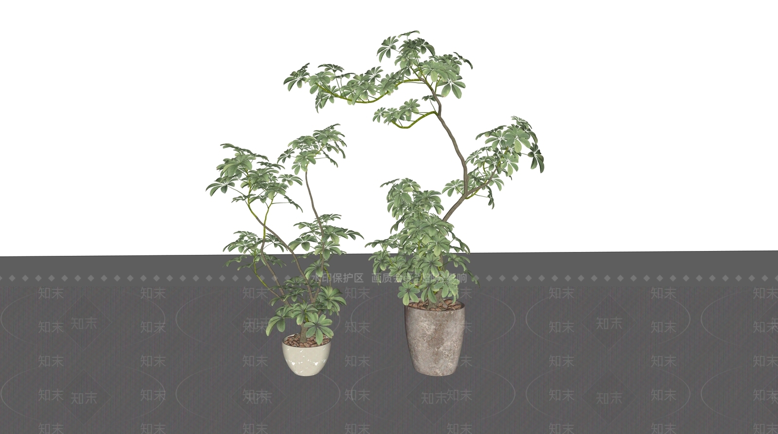 盆栽SU模型下载【ID:1199876638】