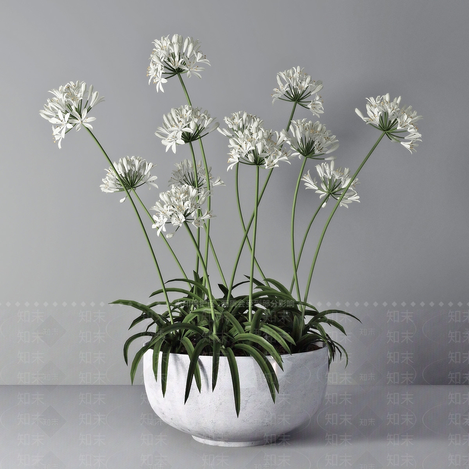 盆栽3D模型下载【ID:1199877156】