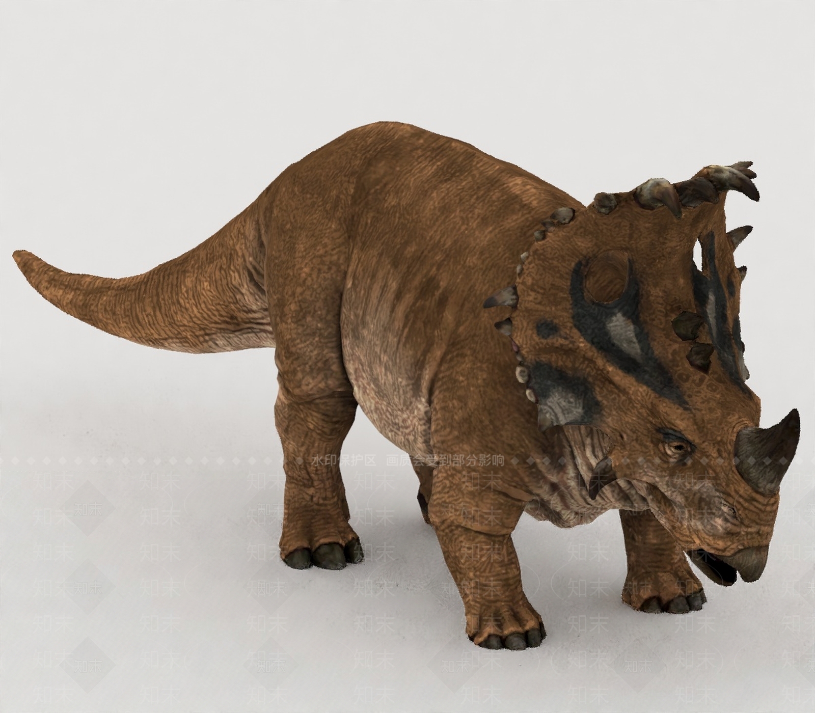 其他动物3D模型下载【ID:1199877565】