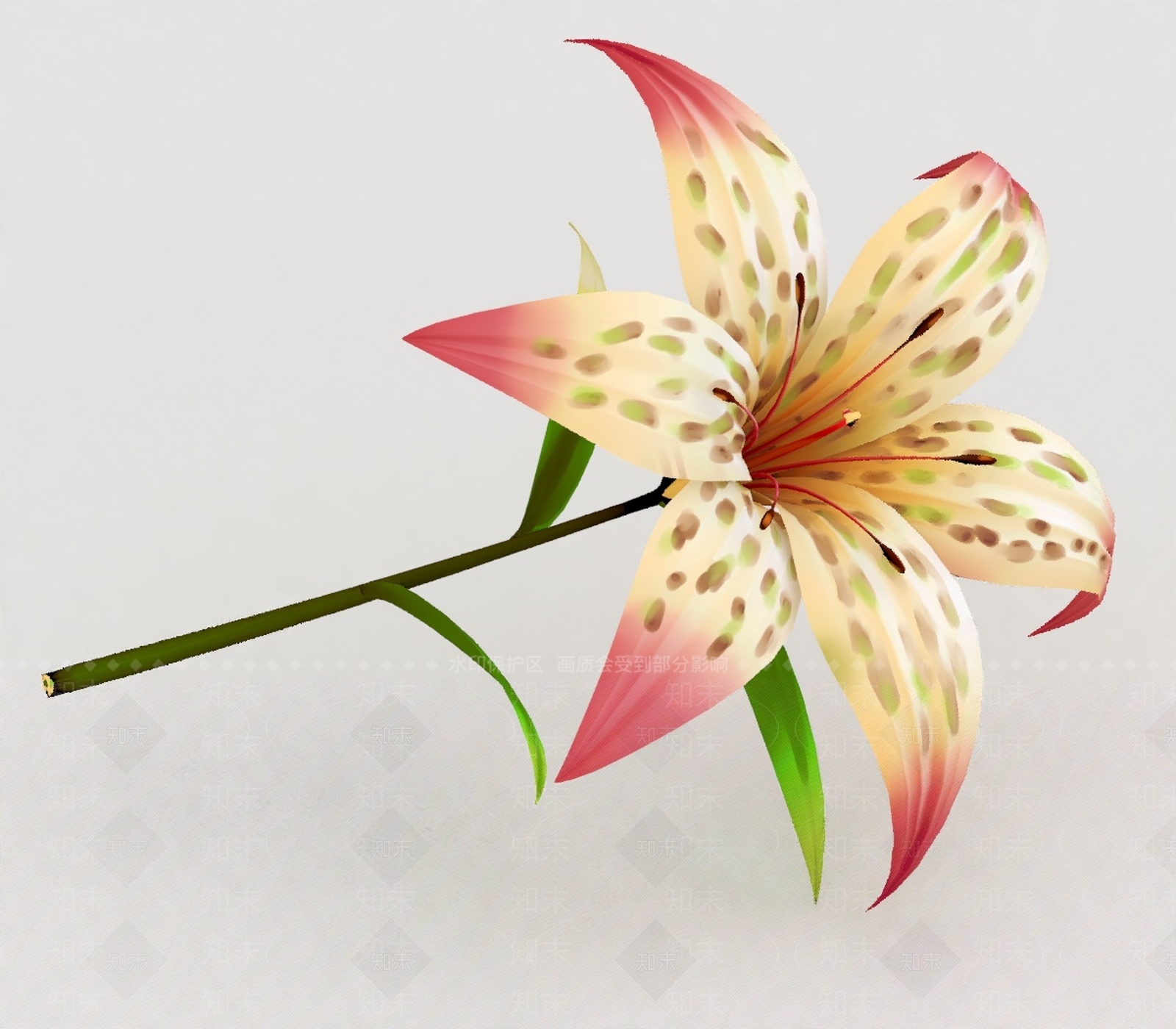 其他绿植3D模型下载【ID:1199879333】
