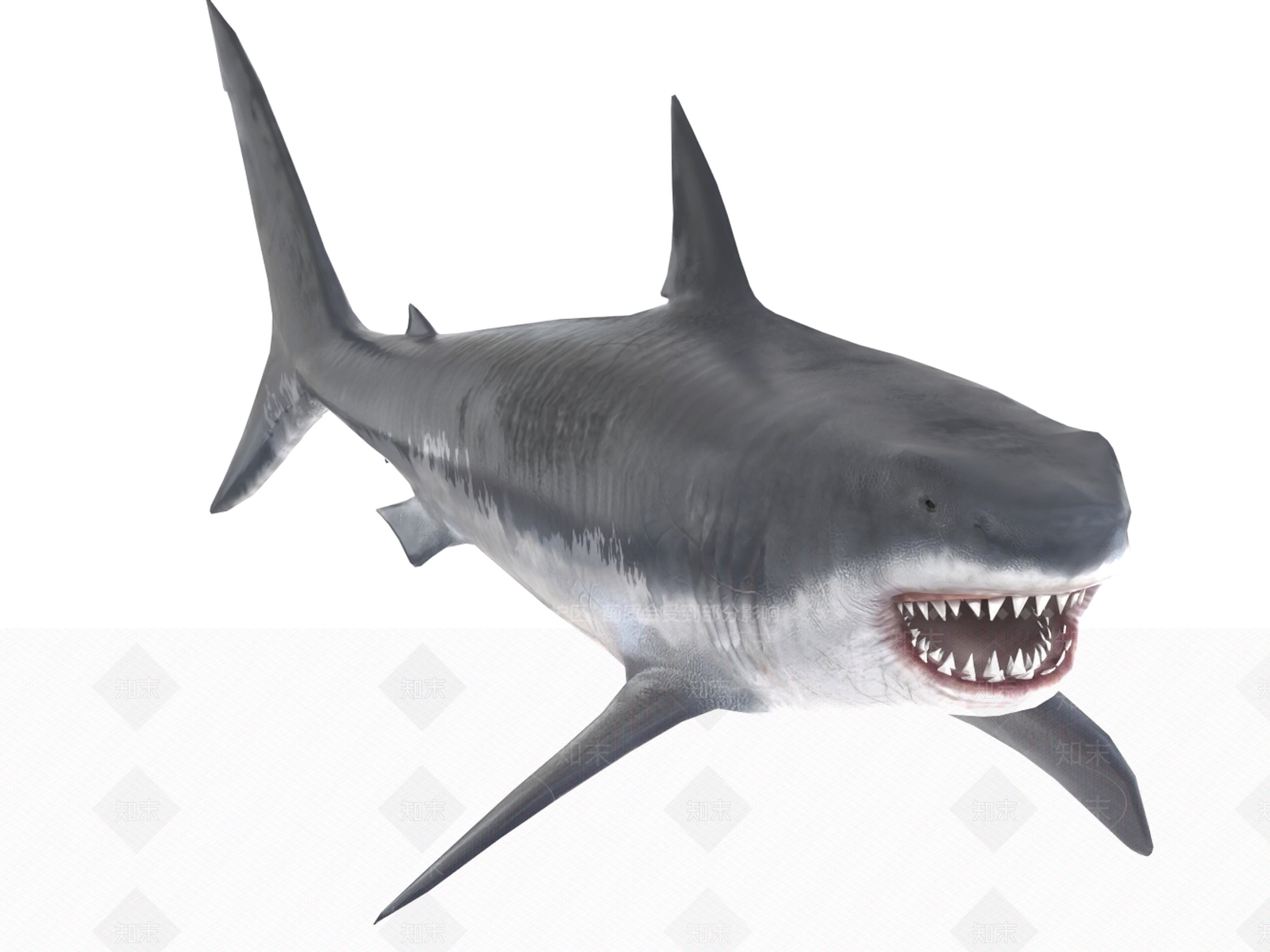 水生类动物3D模型下载【ID:1199879688】