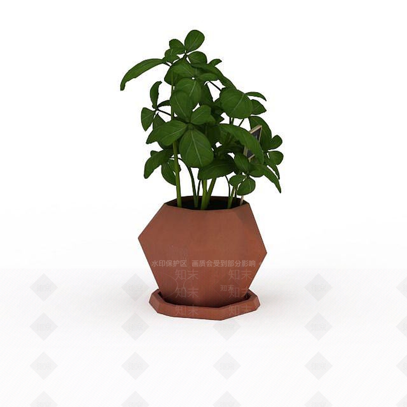现代花草绿植盆栽3D模型下载【ID:1199888495】
