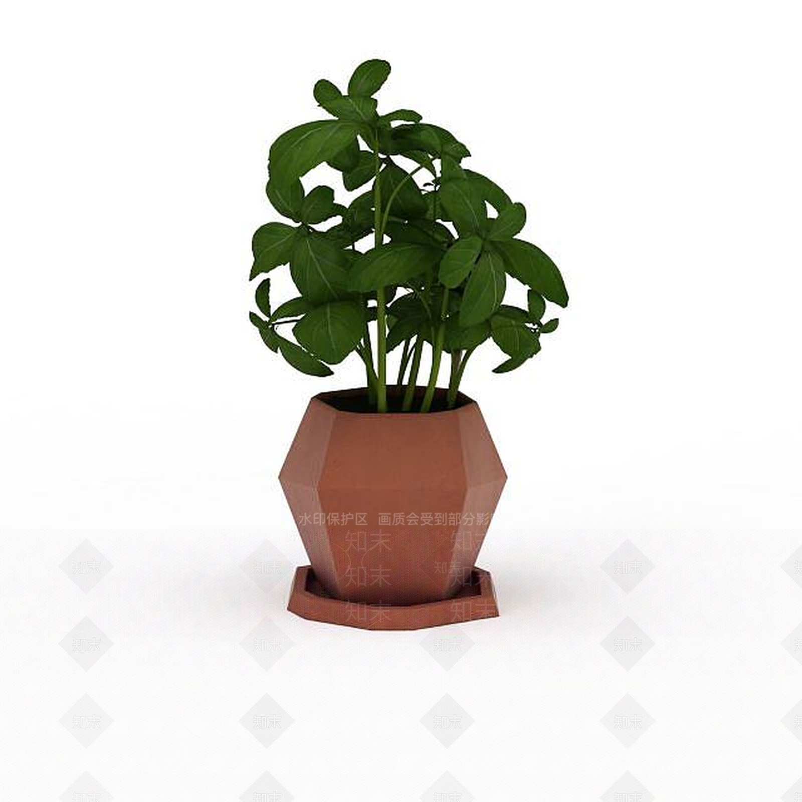 现代花草绿植盆栽3D模型下载【ID:1199888495】