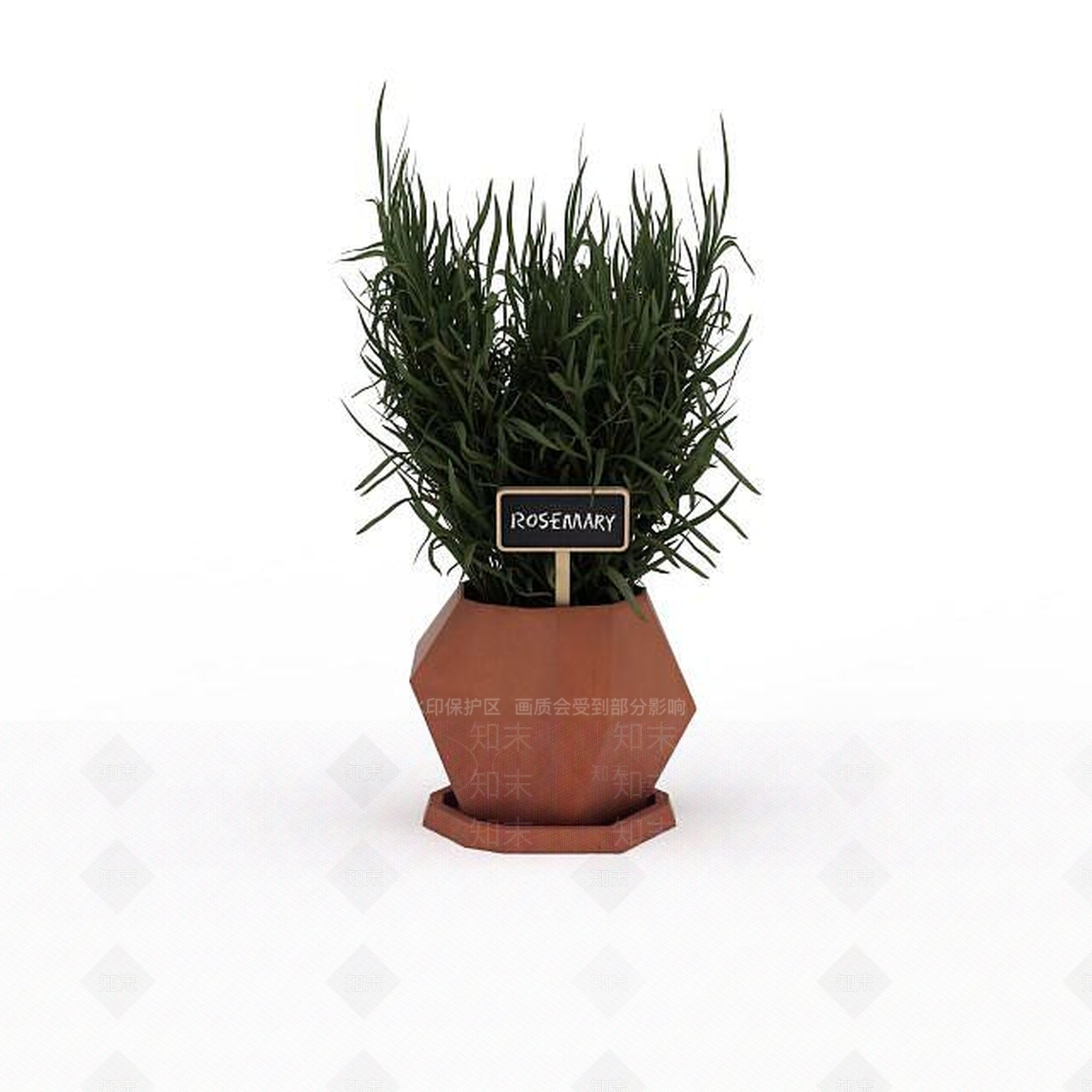 现代花草绿植盆栽3D模型下载【ID:1199888659】