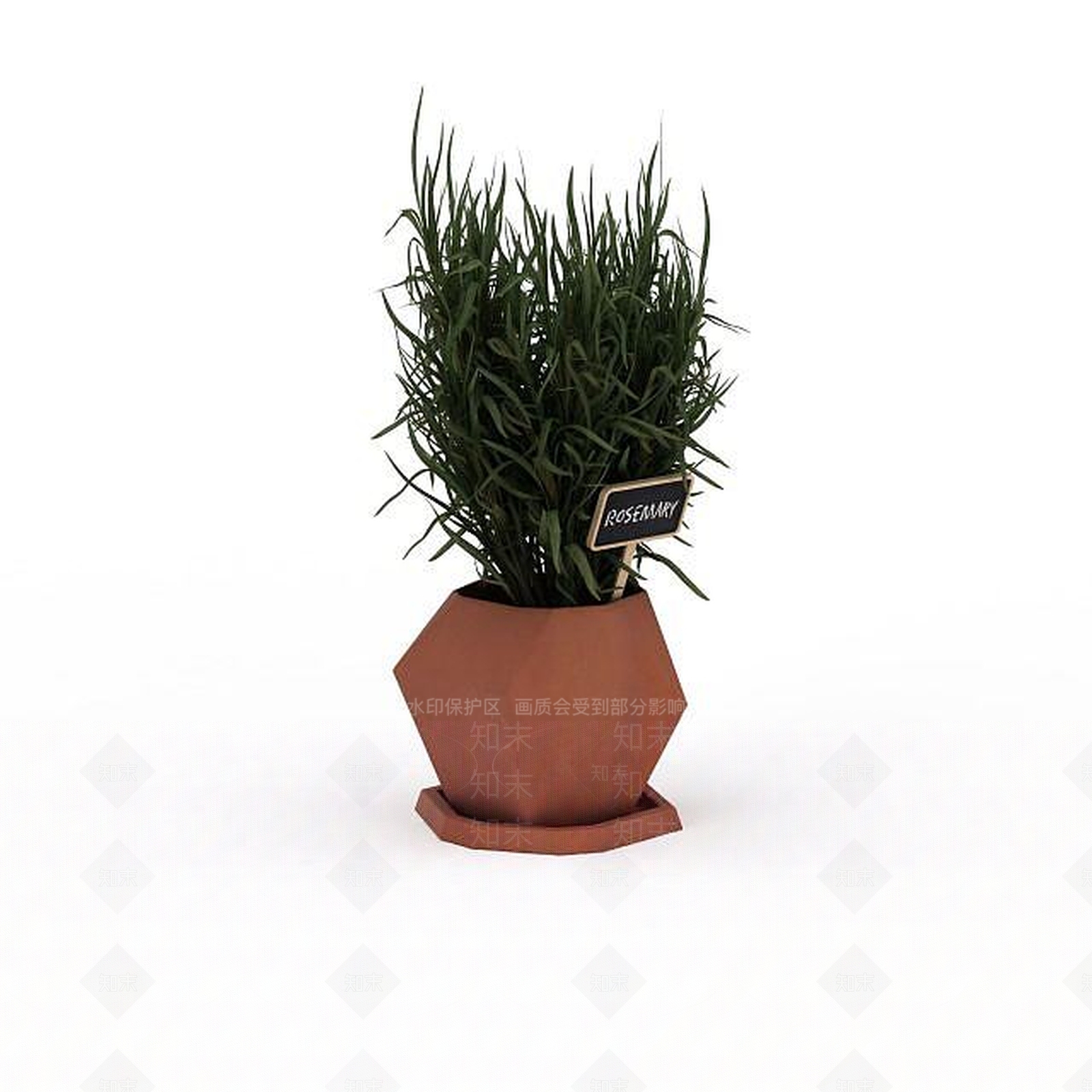现代花草绿植盆栽3D模型下载【ID:1199888659】