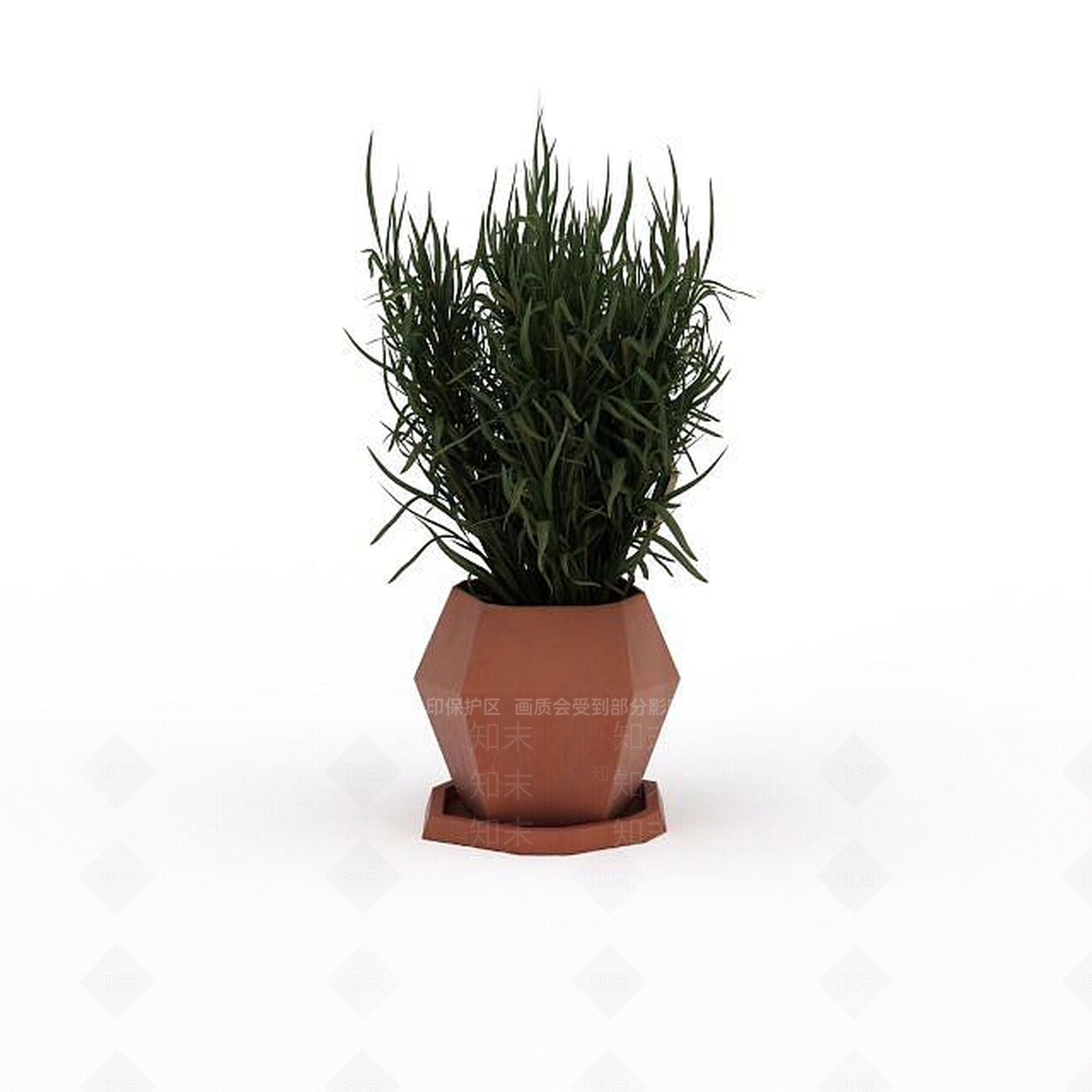 现代花草绿植盆栽3D模型下载【ID:1199888659】