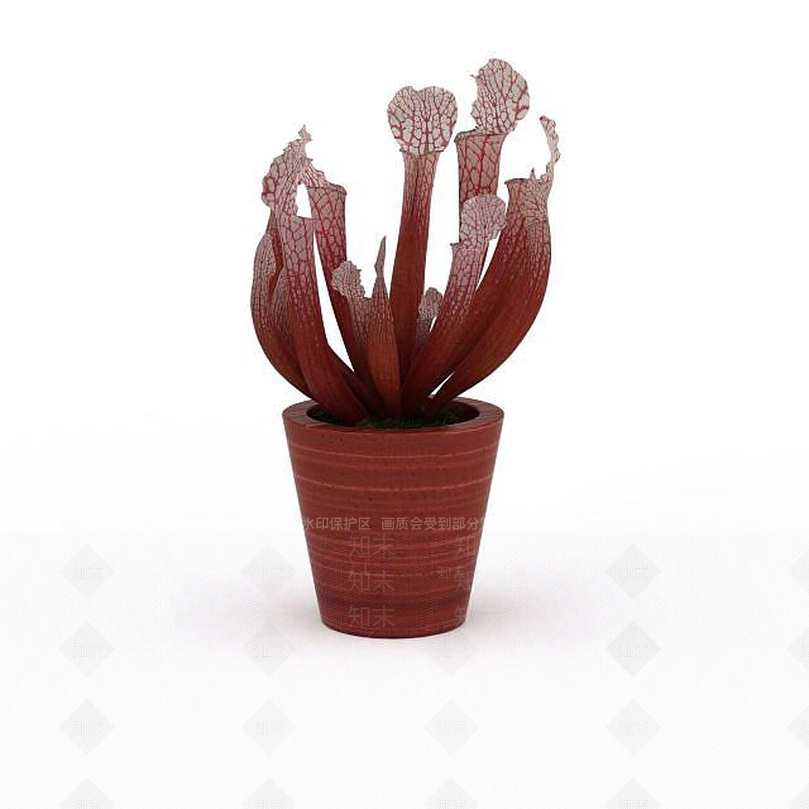 现代花草植物盆栽3D模型下载【ID:1199888816】