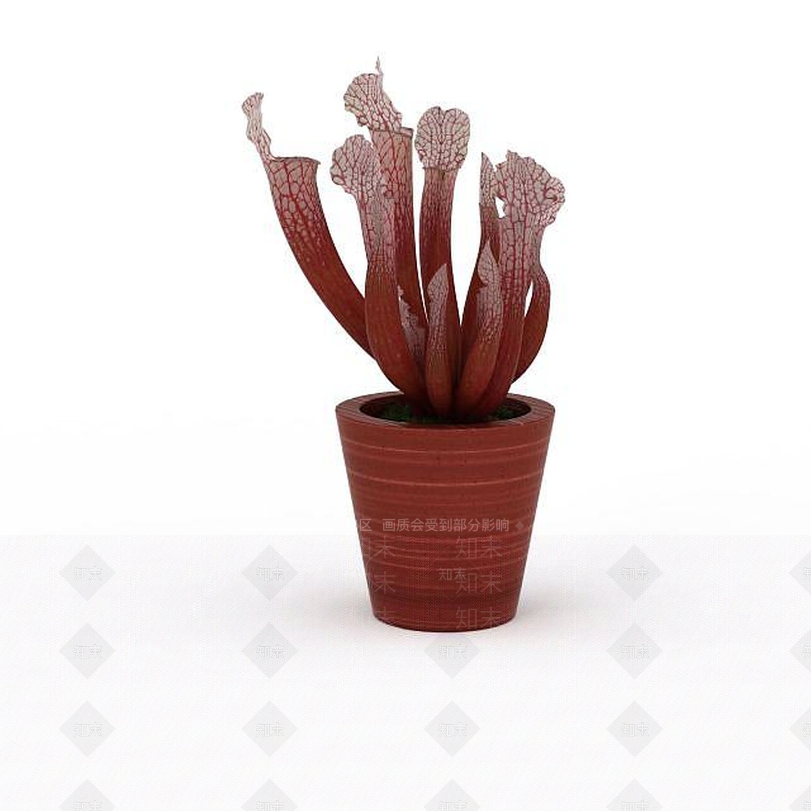现代花草植物盆栽3D模型下载【ID:1199888816】