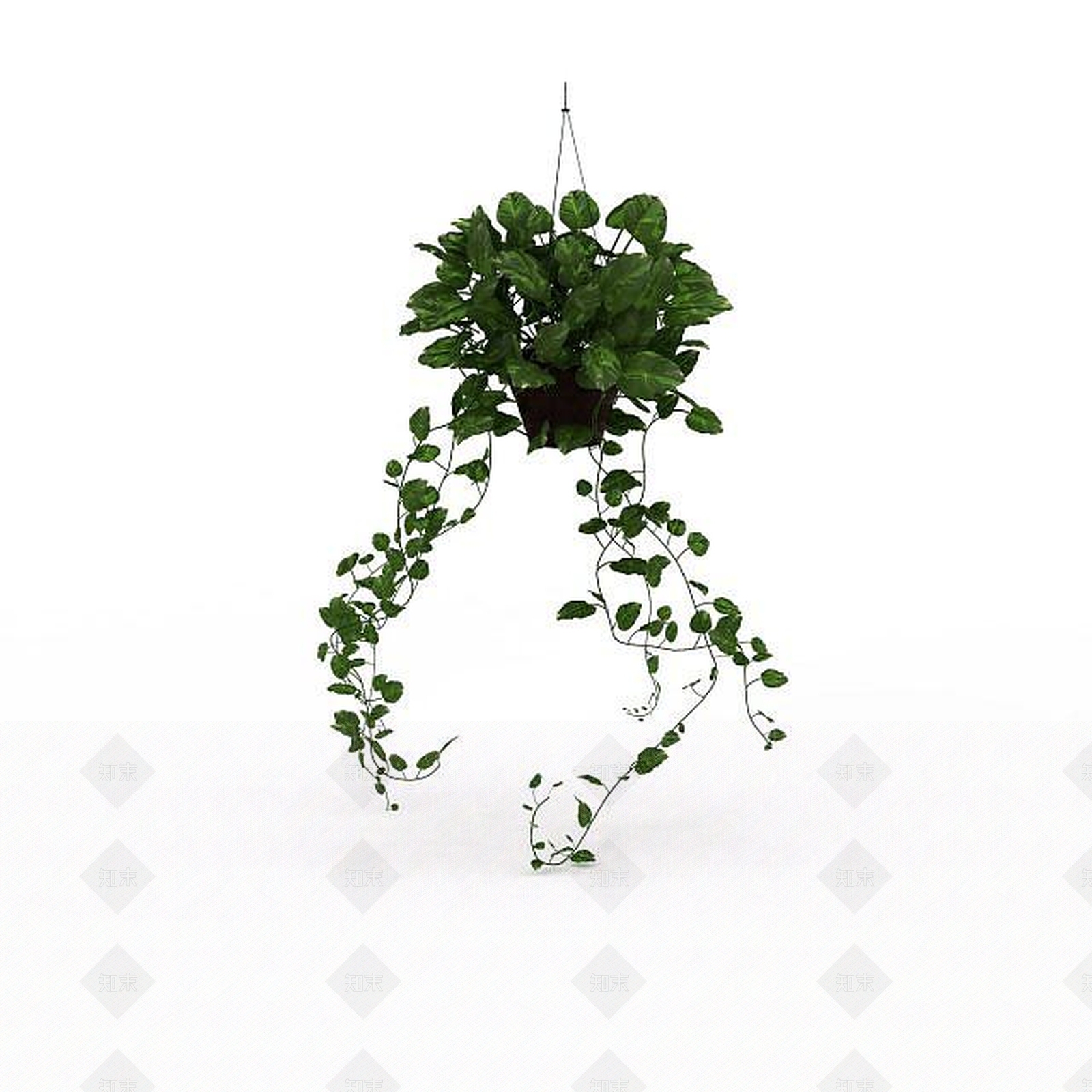 现代吊兰盆栽3D模型下载【ID:1199888941】
