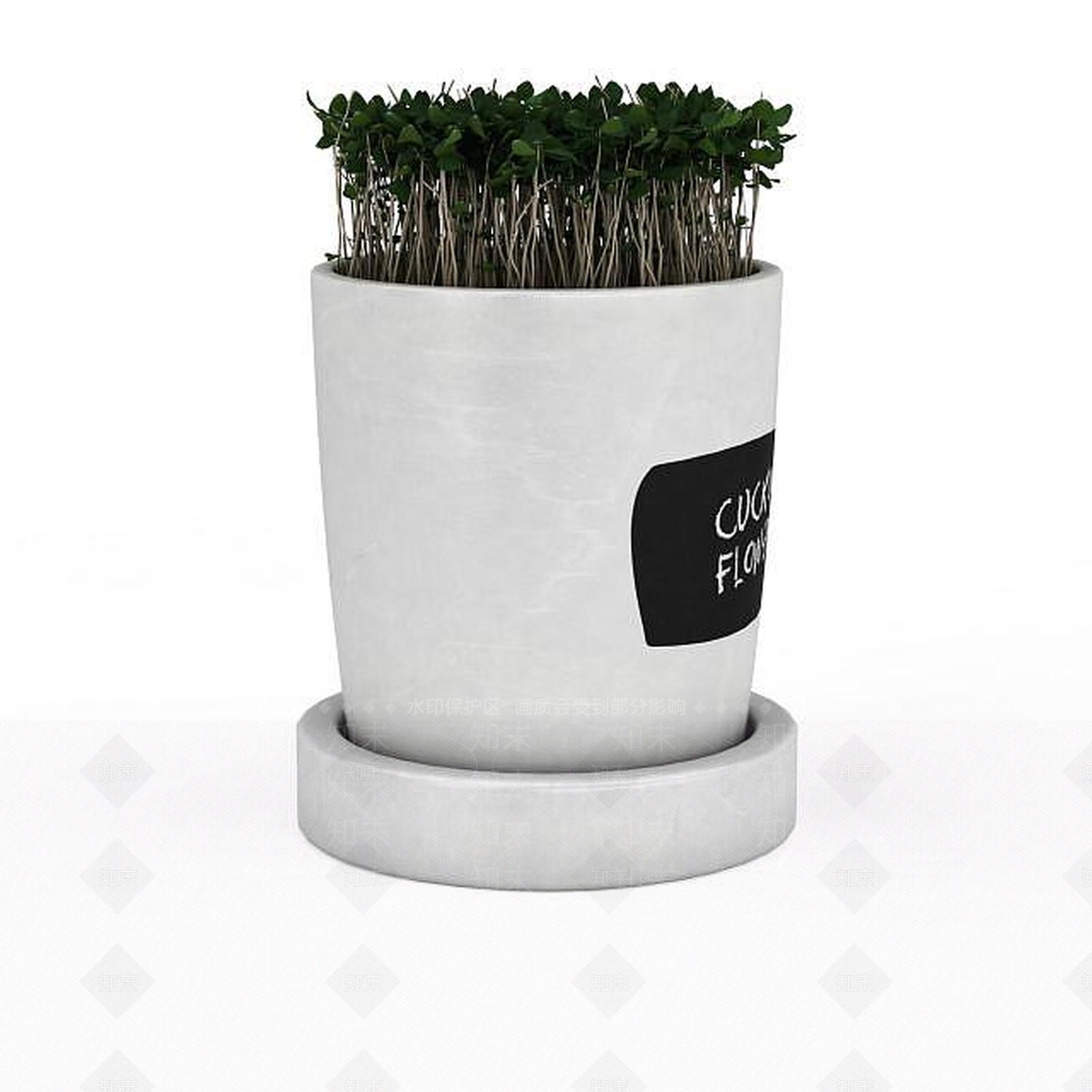 现代办公室绿植盆栽3D模型下载【ID:1199888929】