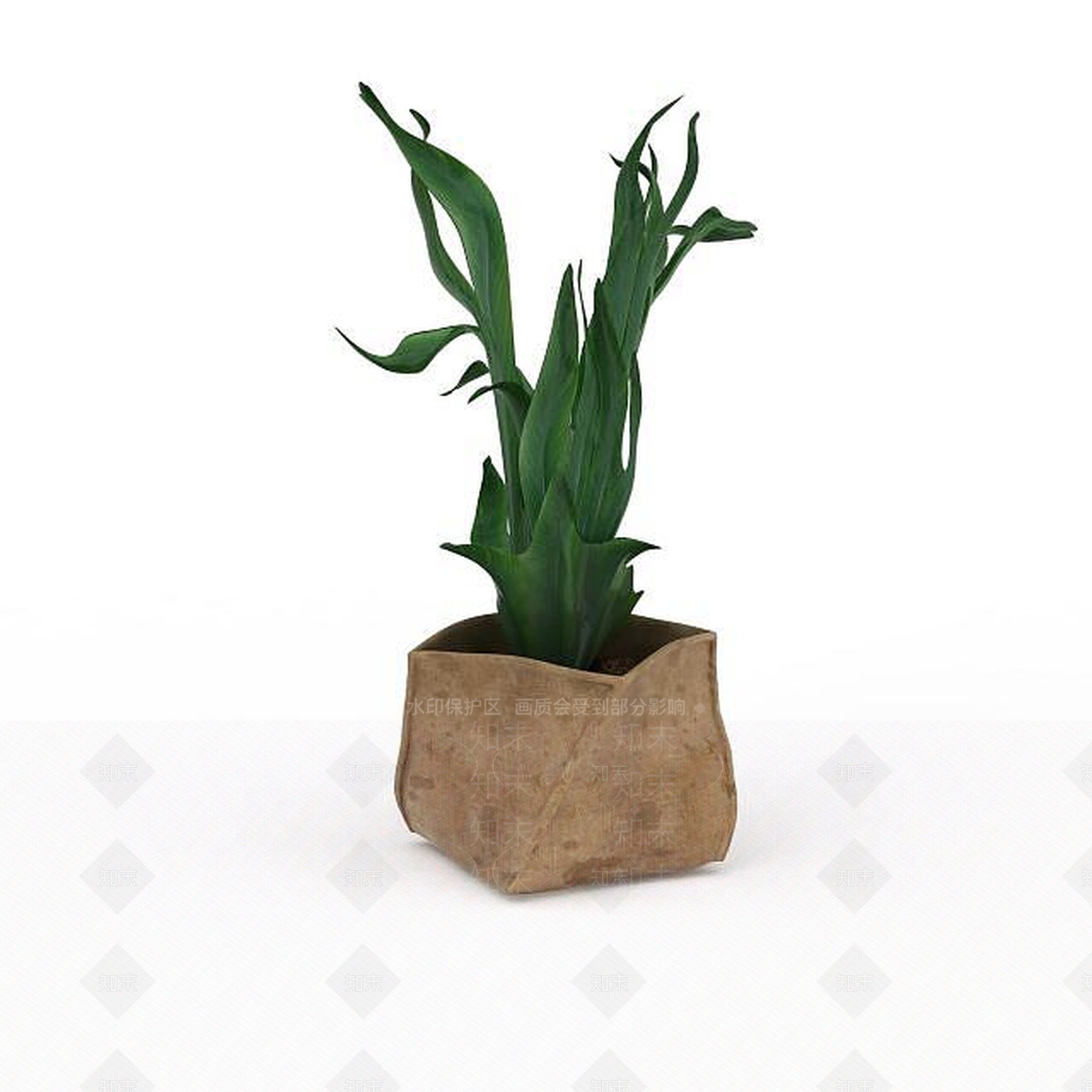 现代花草绿植盆栽3D模型下载【ID:1199889126】