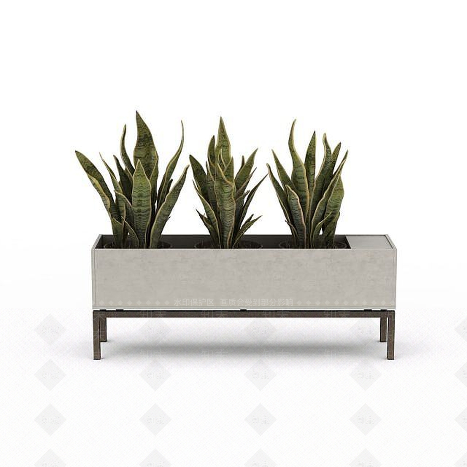 现代虎皮兰盆栽3D模型下载【ID:1199889380】