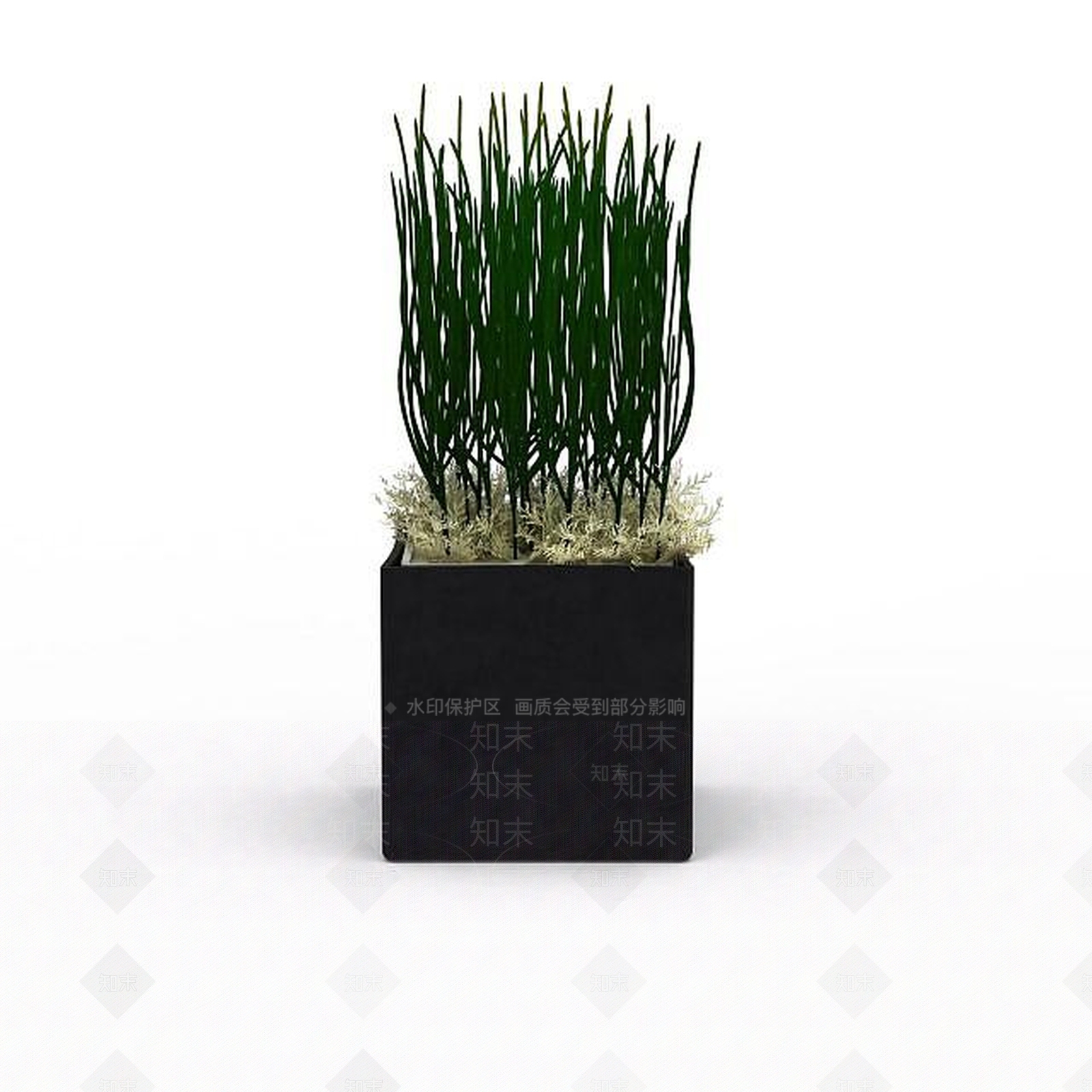 现代花草绿植盆栽3D模型下载【ID:1199889389】