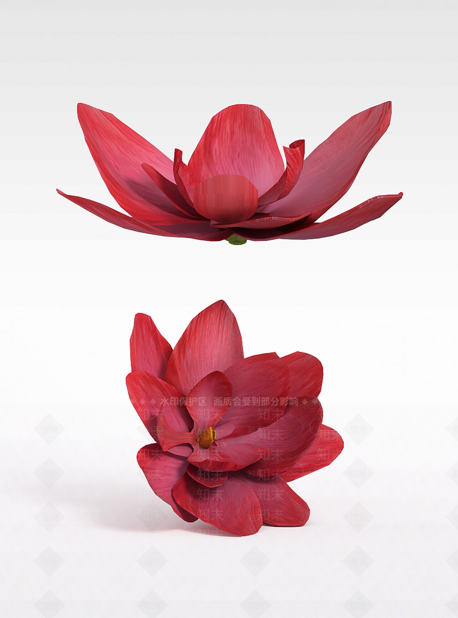 现代荷花3D模型下载【ID:1199892484】