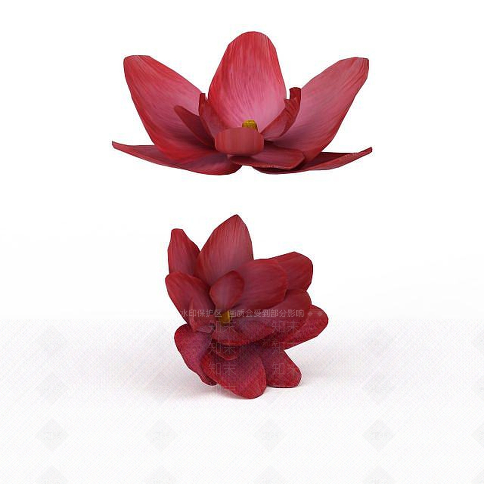 现代荷花3D模型下载【ID:1199892484】